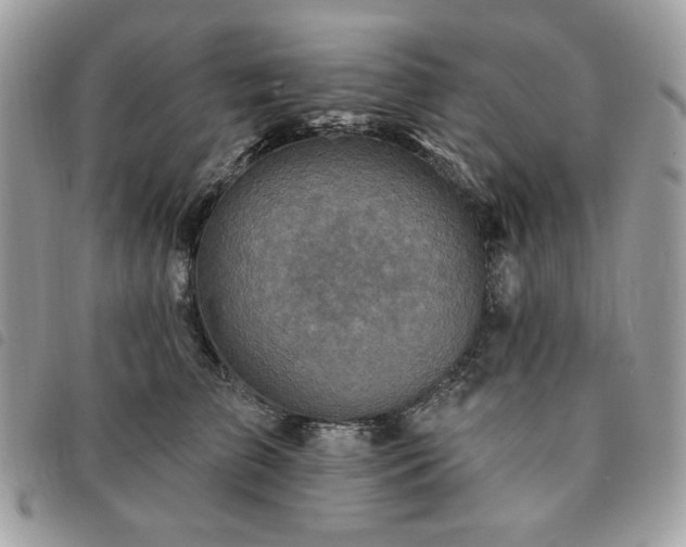 X0000091290709200708171345