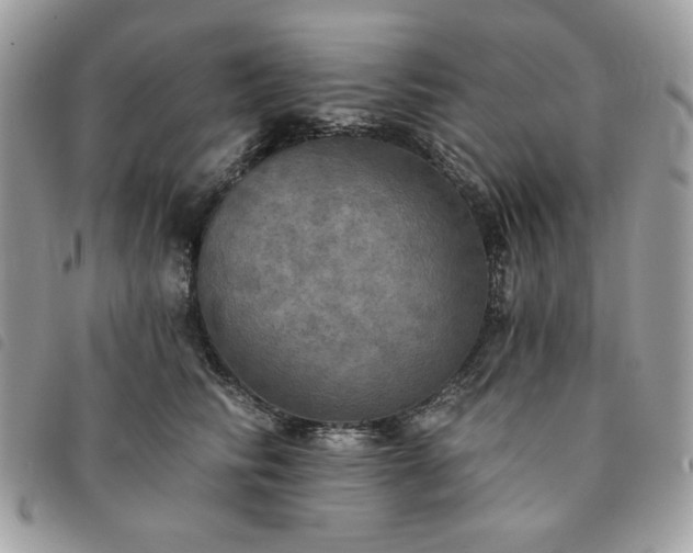 X0000091290710200708171345