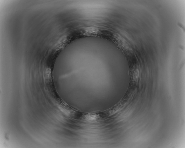 X0000091290711200708171345