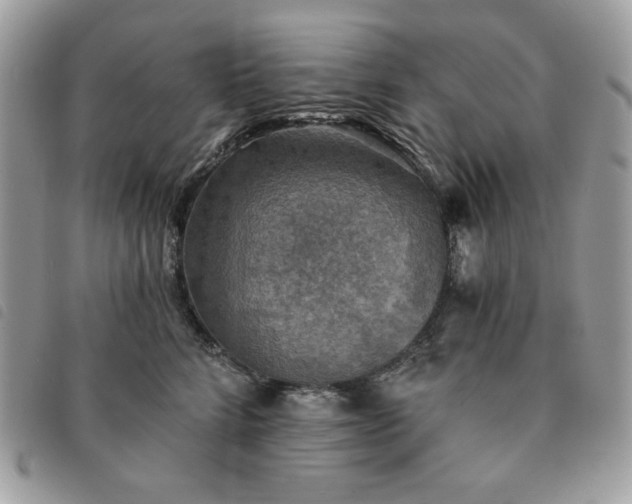 X0000091290712200708171345