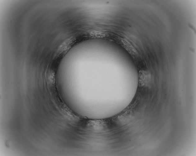 X0000091290713200708171345