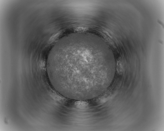 X0000091290714200708171345