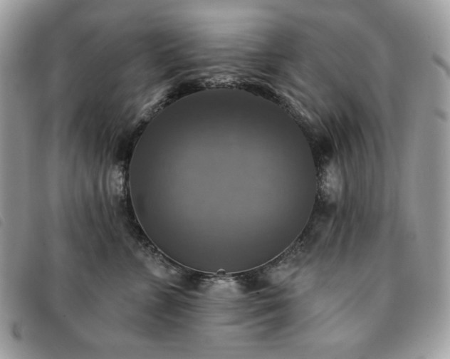 X0000091290715200708171345