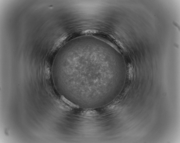 X0000091290716200708171345