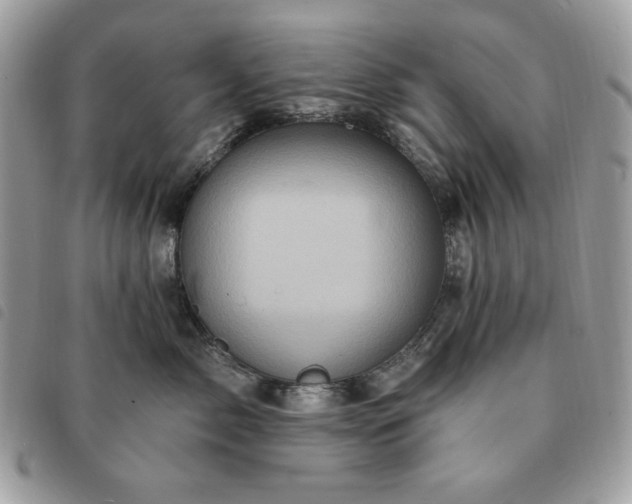 X0000091290717200708171345