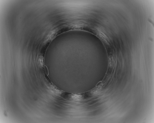 X0000091290718200708171345