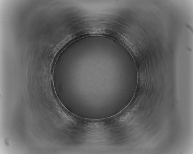 X0000091290721200708171344