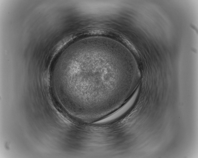 X0000091290722200708171344