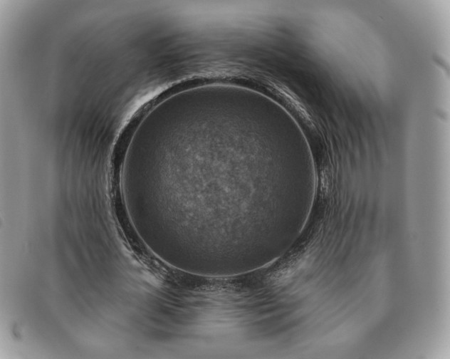 X0000091290724200708171344