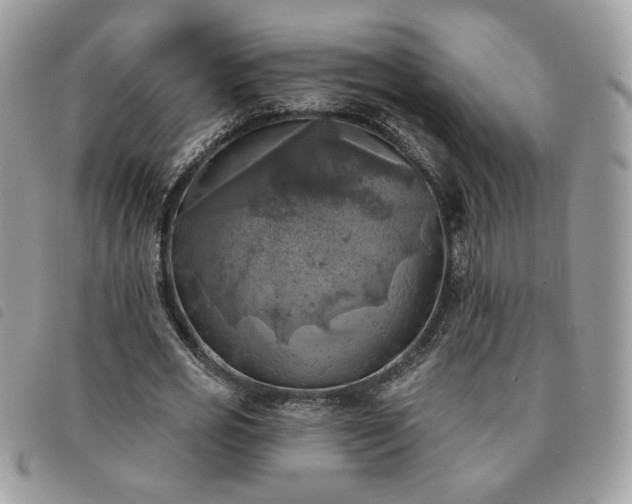 X0000091290725200708171344