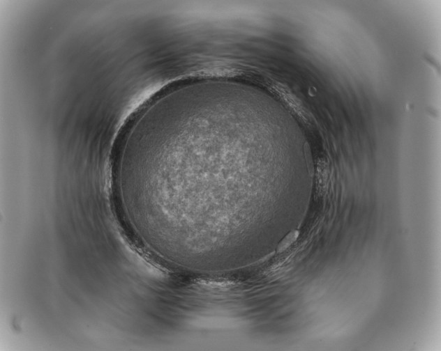 X0000091290726200708171344