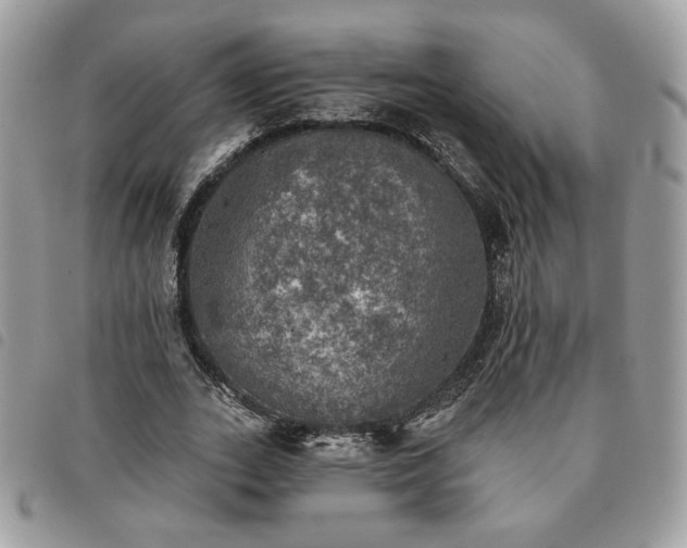 X0000091290727200708171344