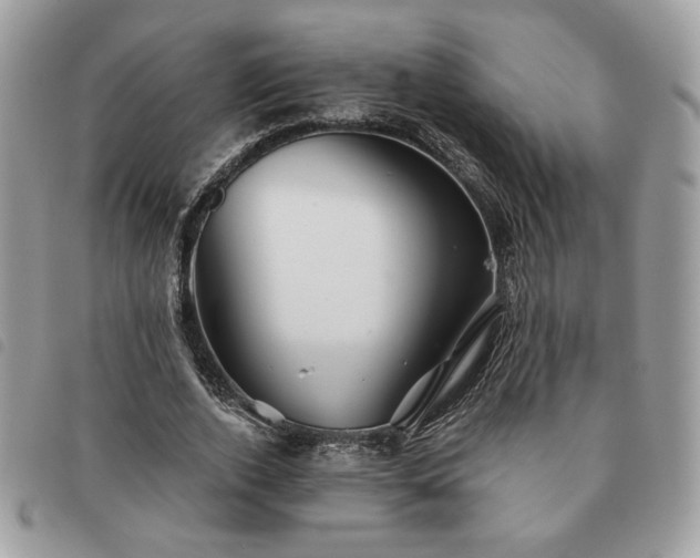 X0000091290728200708171345