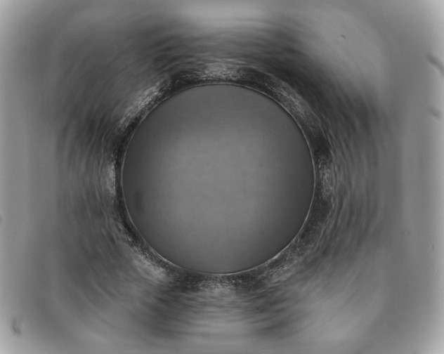 X0000091290729200708171345