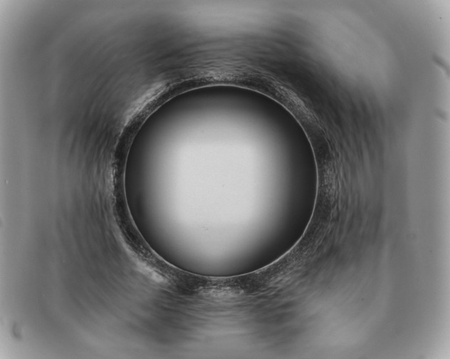 X0000091290730200708171345