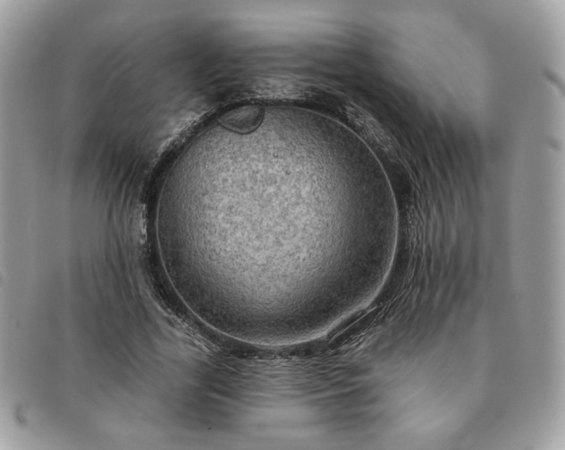 X0000091290731200708171345