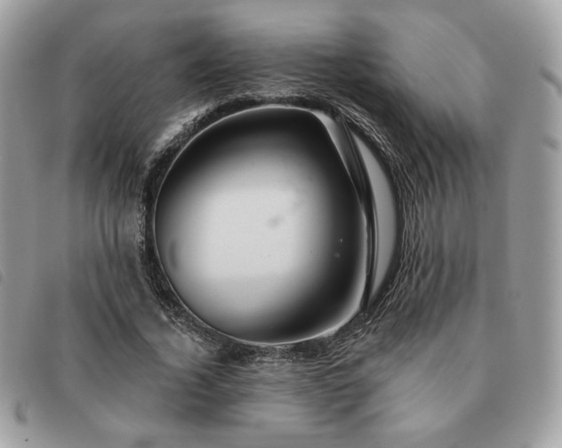 X0000091290732200708171345