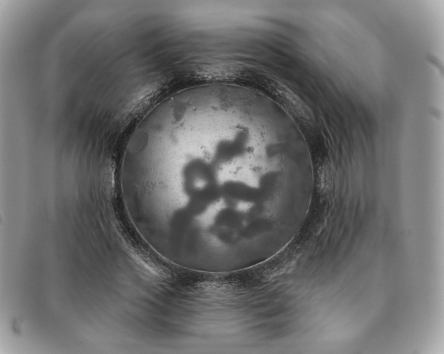 X0000091290733200708171345