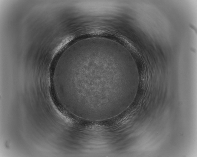 X0000091290734200708171345