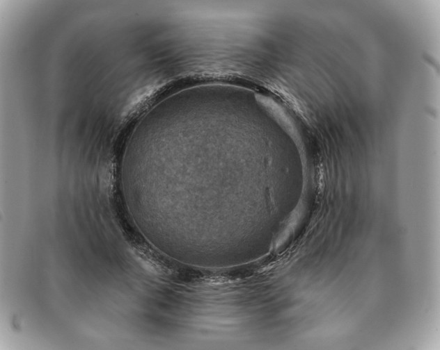 X0000091290736200708171345