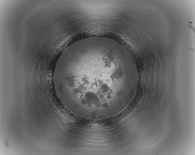 X0000091290737200708171345