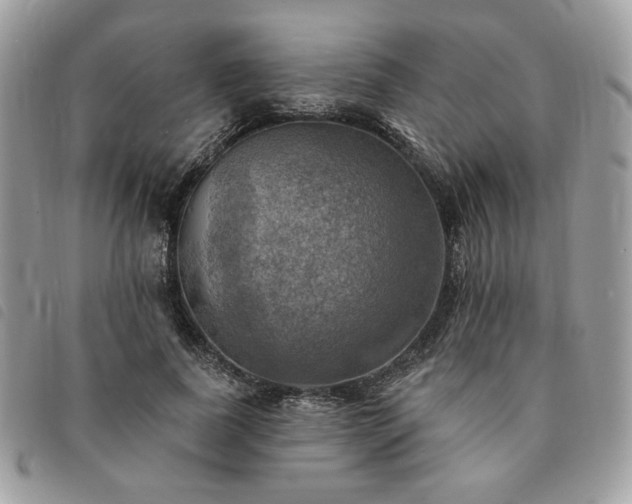 X0000091290739200708171345