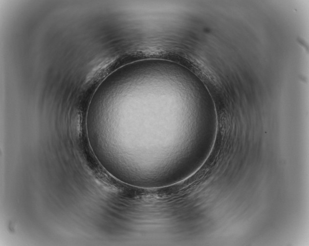 X0000091290740200708171345