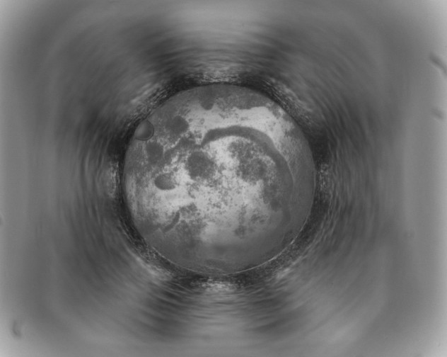 X0000091290741200708171345