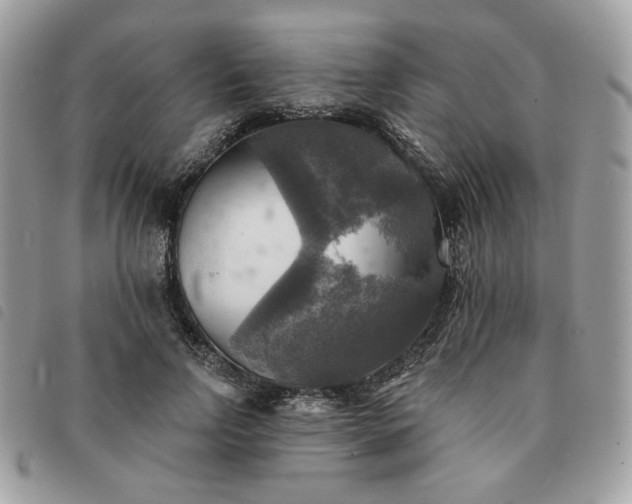 X0000091290742200708171345