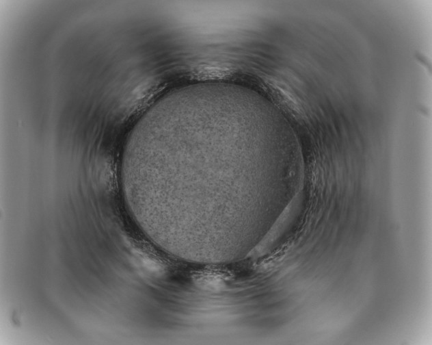 X0000091290743200708171345