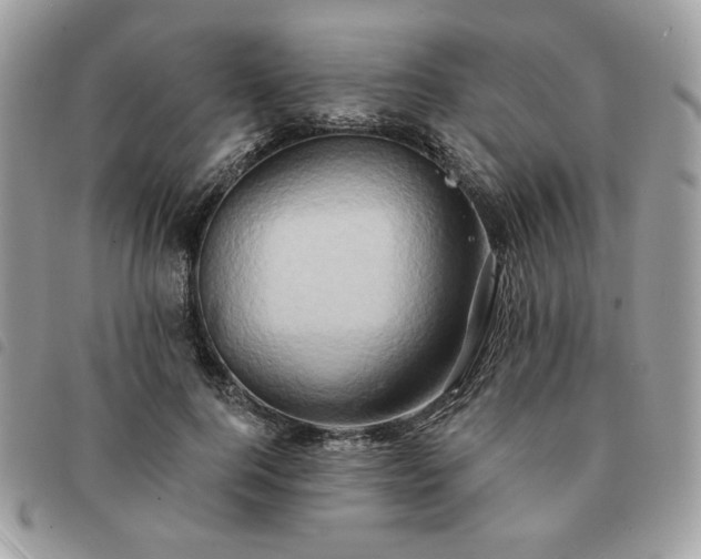 X0000091290744200708171345