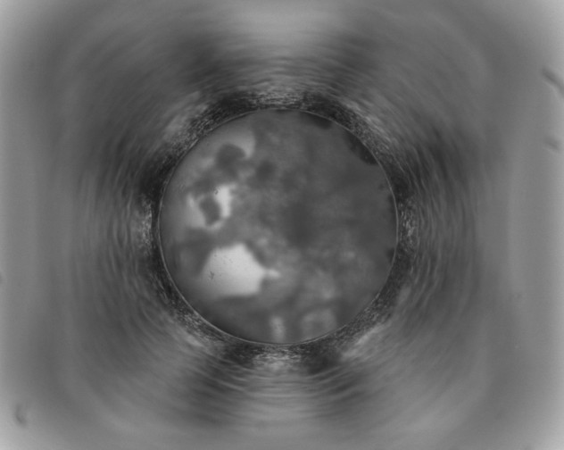 X0000091290745200708171345