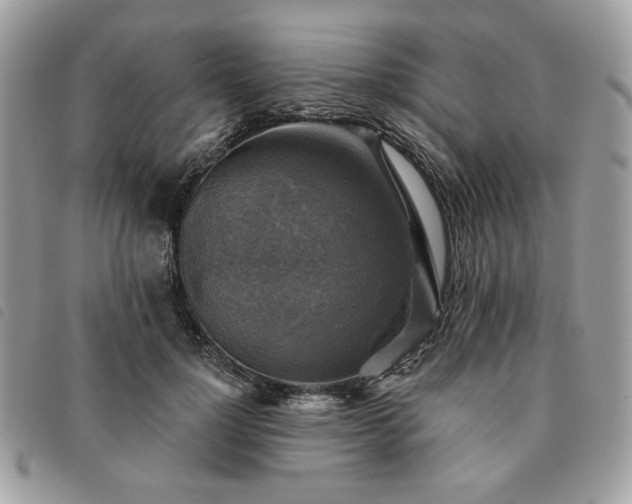 X0000091290748200708171345