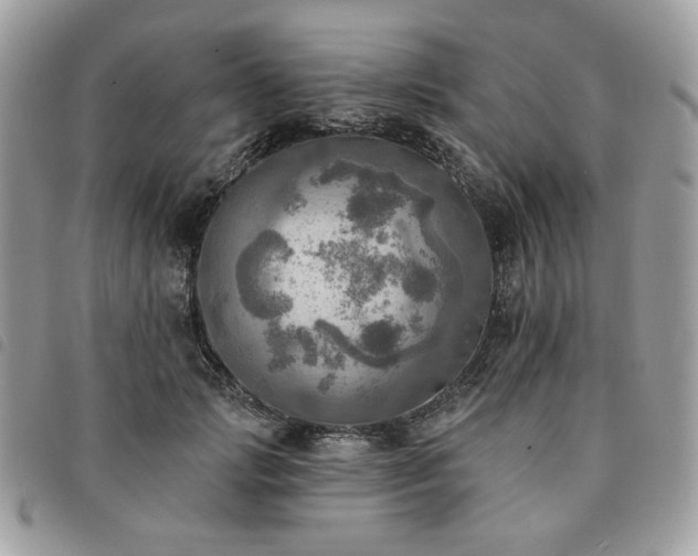 X0000091290749200708171345