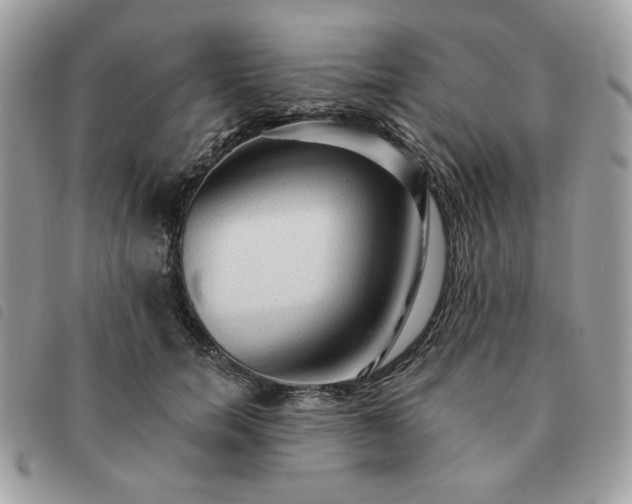 X0000091290750200708171345