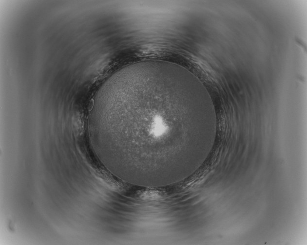 X0000091290751200708171345