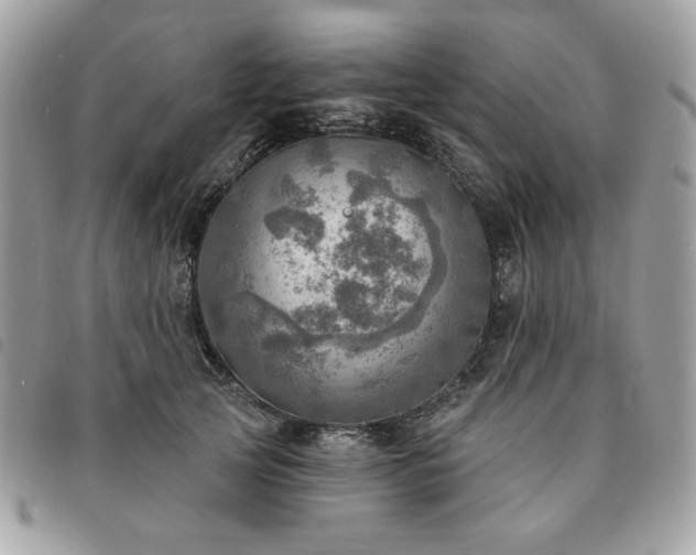 X0000091290753200708171345