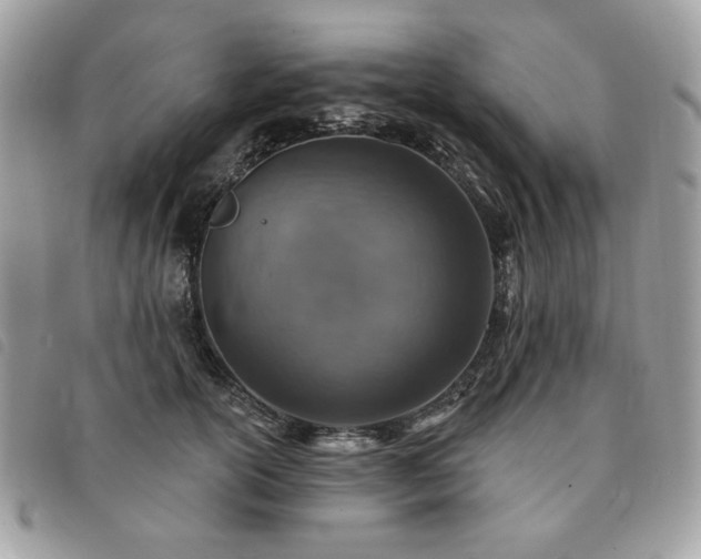 X0000091290754200708171345