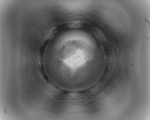 X0000091290755200708171345