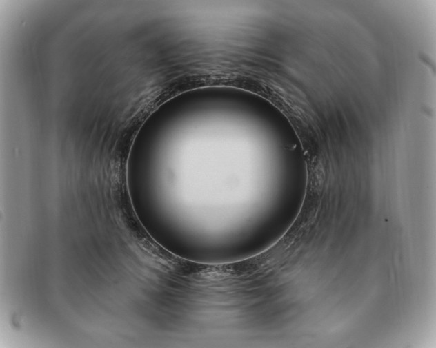 X0000091290756200708171345