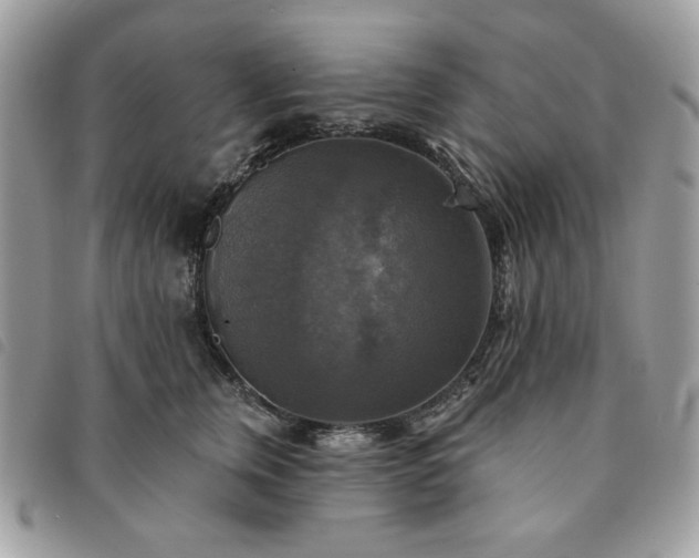 X0000091290759200708171345