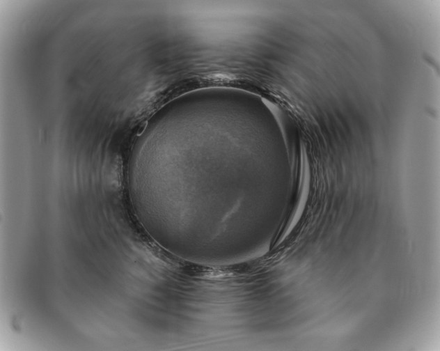 X0000091290760200708171345