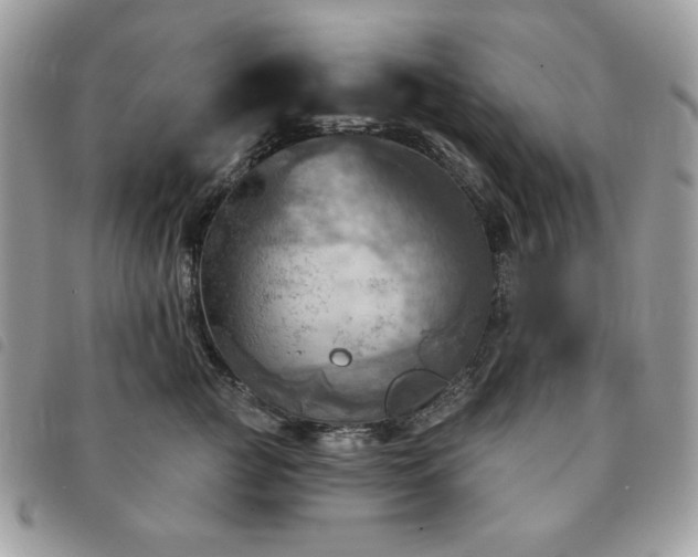 X0000091290761200708171345