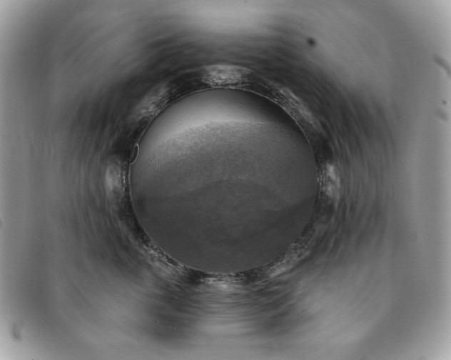 X0000091290763200708171345