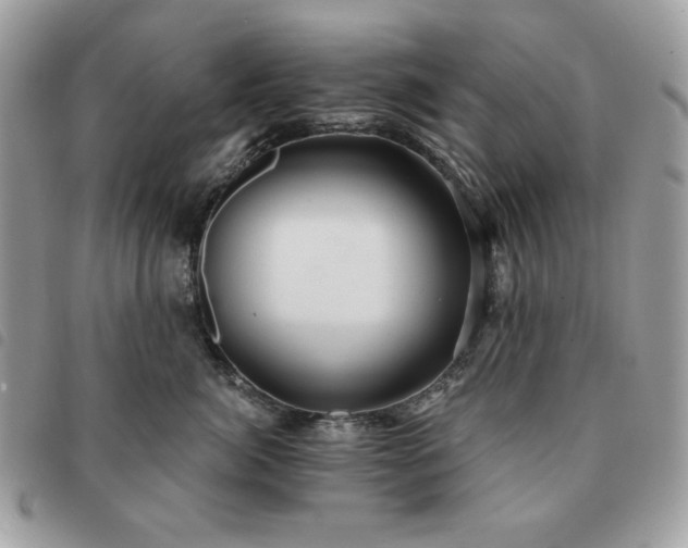 X0000091290764200708171345