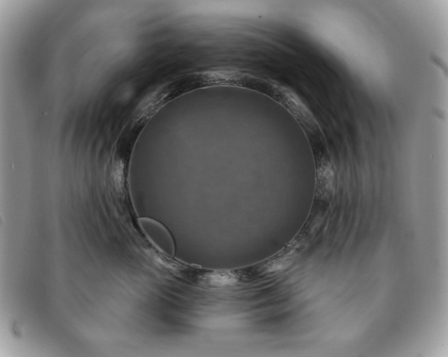 X0000091290765200708171345