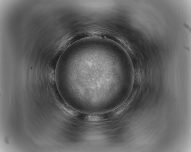 X0000091290766200708171345