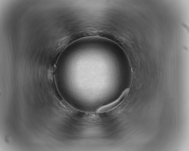 X0000091290768200708171345