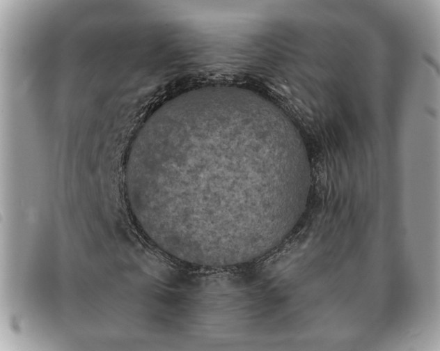 X0000091290769200708171344