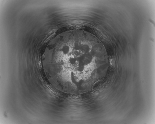 X0000091290771200708171344